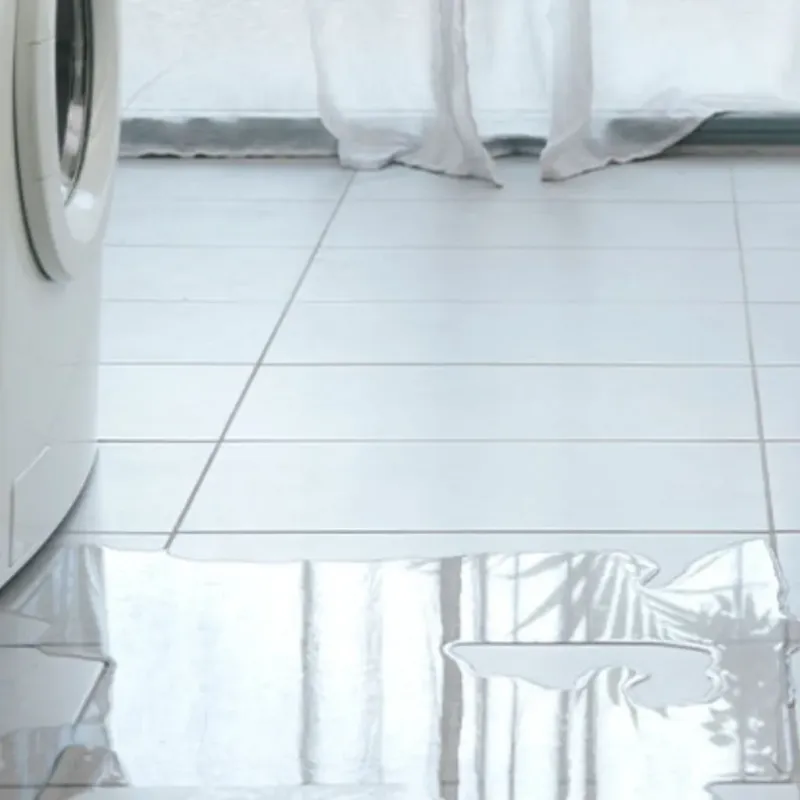 Appliance Leak Cleanup in La Joya, TX