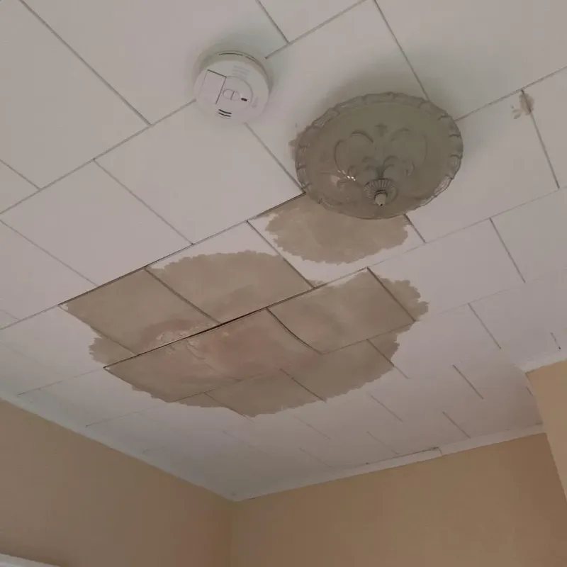 Ceiling Water Damage Repair in La Joya, TX